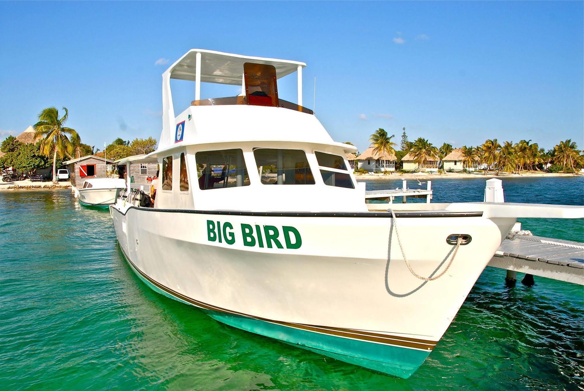 Blackbird Caye Resort Turneffe Atoll Exteriér fotografie