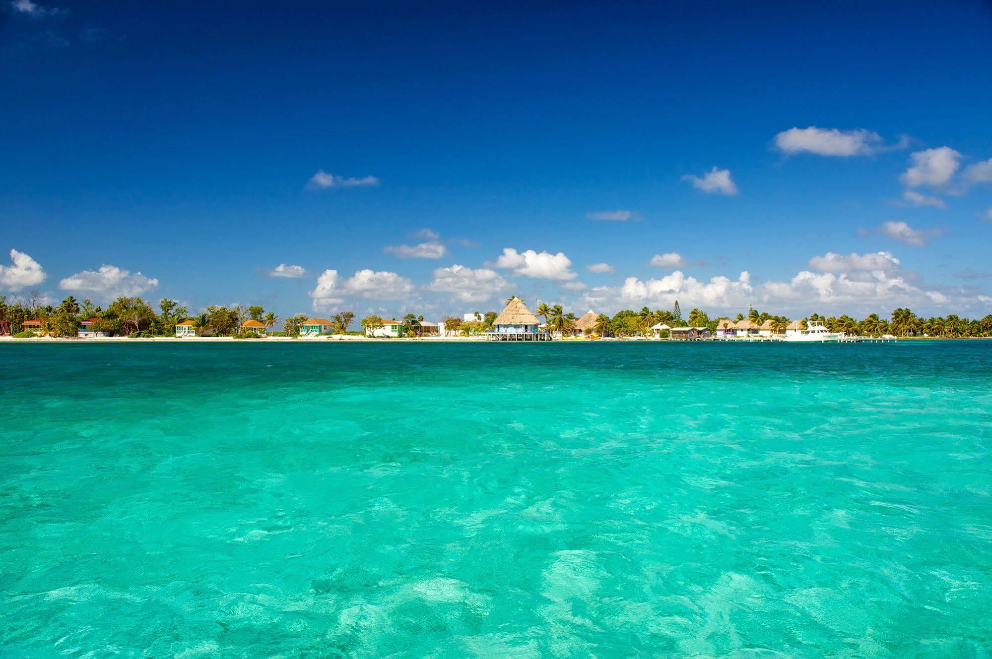 Blackbird Caye Resort Turneffe Atoll Exteriér fotografie