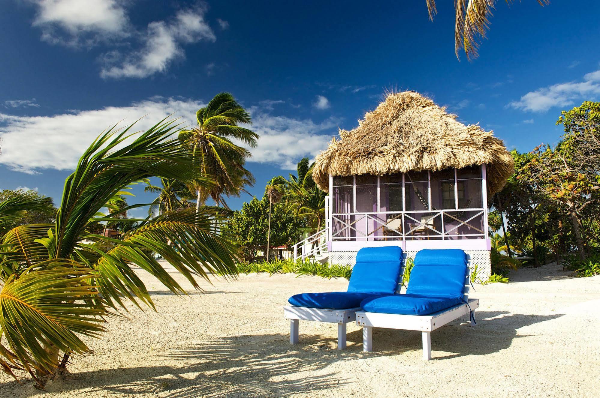 Blackbird Caye Resort Turneffe Atoll Exteriér fotografie